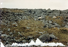 1996 - Grande-Bretagne 09 (Entre Snowdon et Llanberis - Mai 1996)